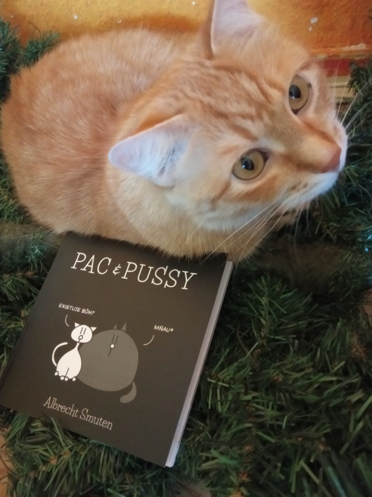 Pac a Pussy – dvě kočičky a jejich pohled na svět