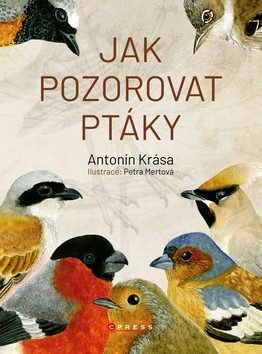 jak pozorovat ptaky