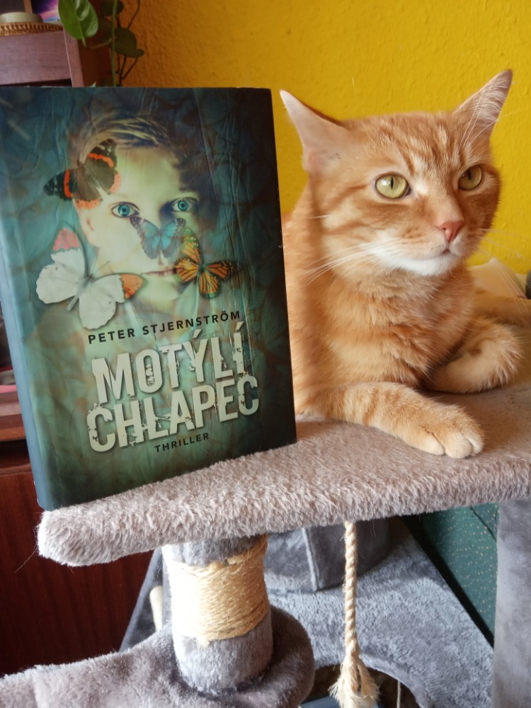 Motýlí chlapec – co skrývají motýli za svými křídly?