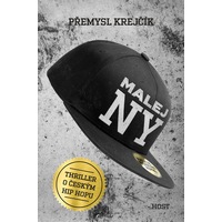 Chcete poznat hiphopovou subkulturu? Přečtěte si Malej NY