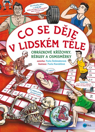 co se deje v lidskem tele