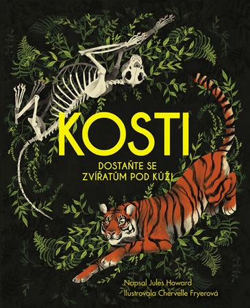 kosti