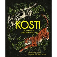 kosti 200