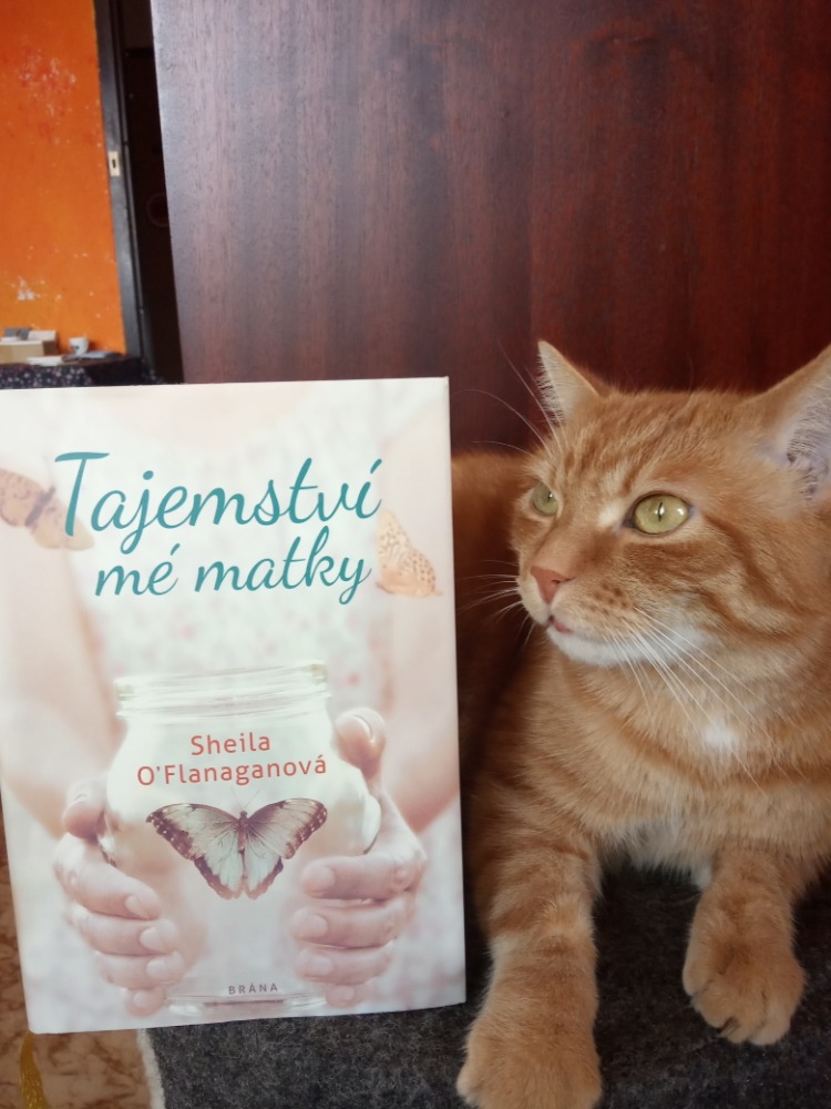 Tajemství mé matky – pravda nebývá vždy příjemná