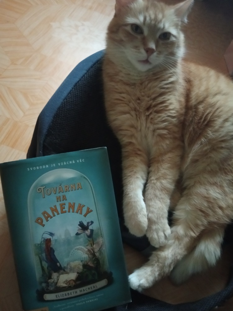 Továrna na panenky – o vzácnosti svobody