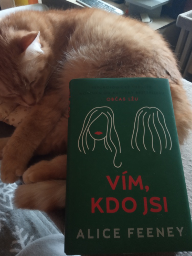 Vím, kdo jsi – identita k zapůjčení
