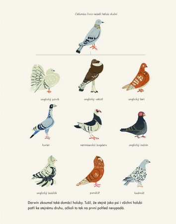 o-vzniku-druhu-darwinova-teorie-pro-deti 1