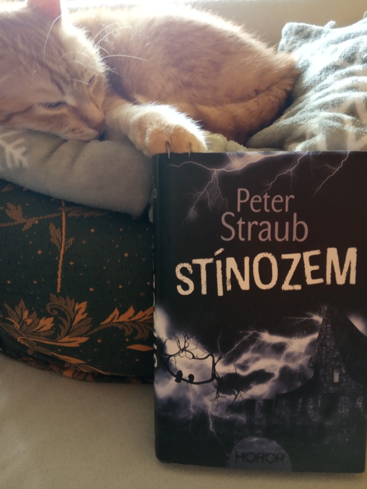 Stinozem