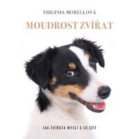 Moudrost zvířat