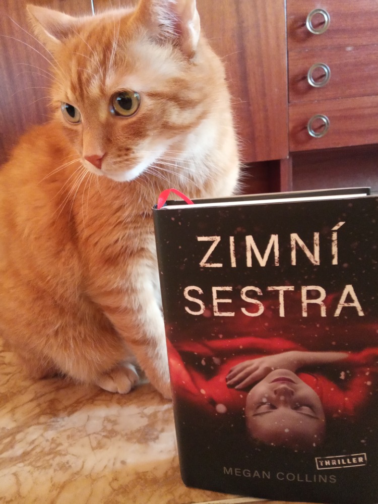 Zimní sestra – sesterské pouto přetrvá i po smrti