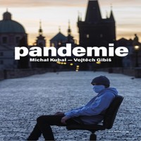 Covid 19 podrobně i emotivně