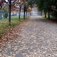 Psychoterapeuti nabízejí pomoc lidem v první linii a ve finanční nouzi