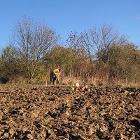 Ovocný komunitní sad v Cholupicích byl vysazen díky sponzorům
