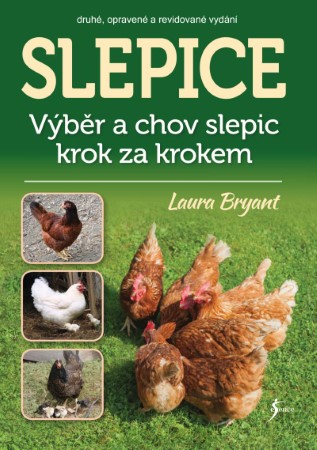 slepice