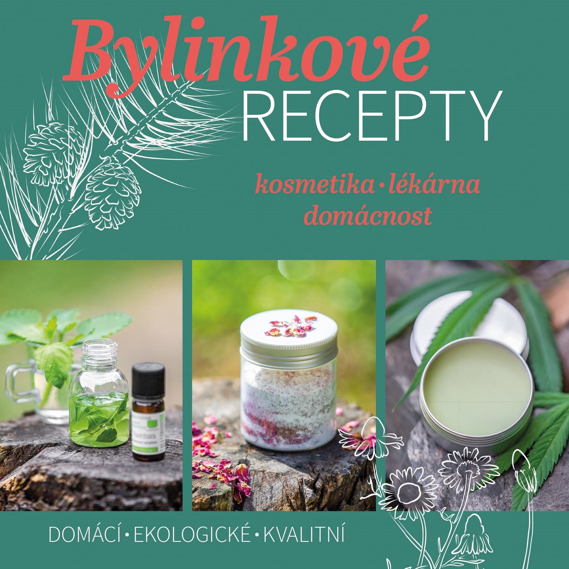 Bylinkové recepty Moniky Poledníkové pro zdraví a krásu
