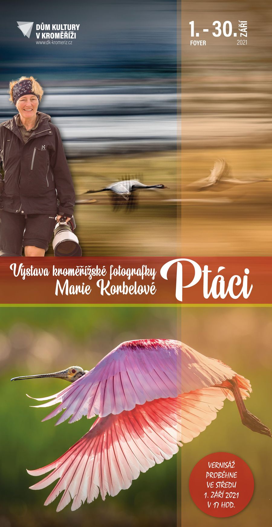 foto ptaci3