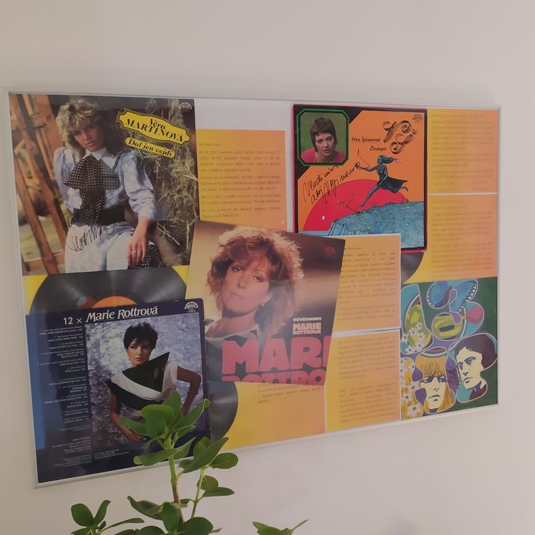 Interiér přísálí Klubu Starý Pivovar obohatila výstava obalů starých vinylových desek