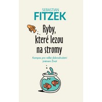 Motivační knížka nejen pro děti