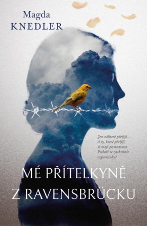 knihomanie me pritelkyne