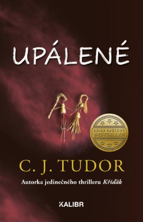 knihomanie upalene