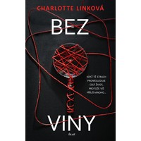 Napínavá zamotaná detektivka: Bez viny