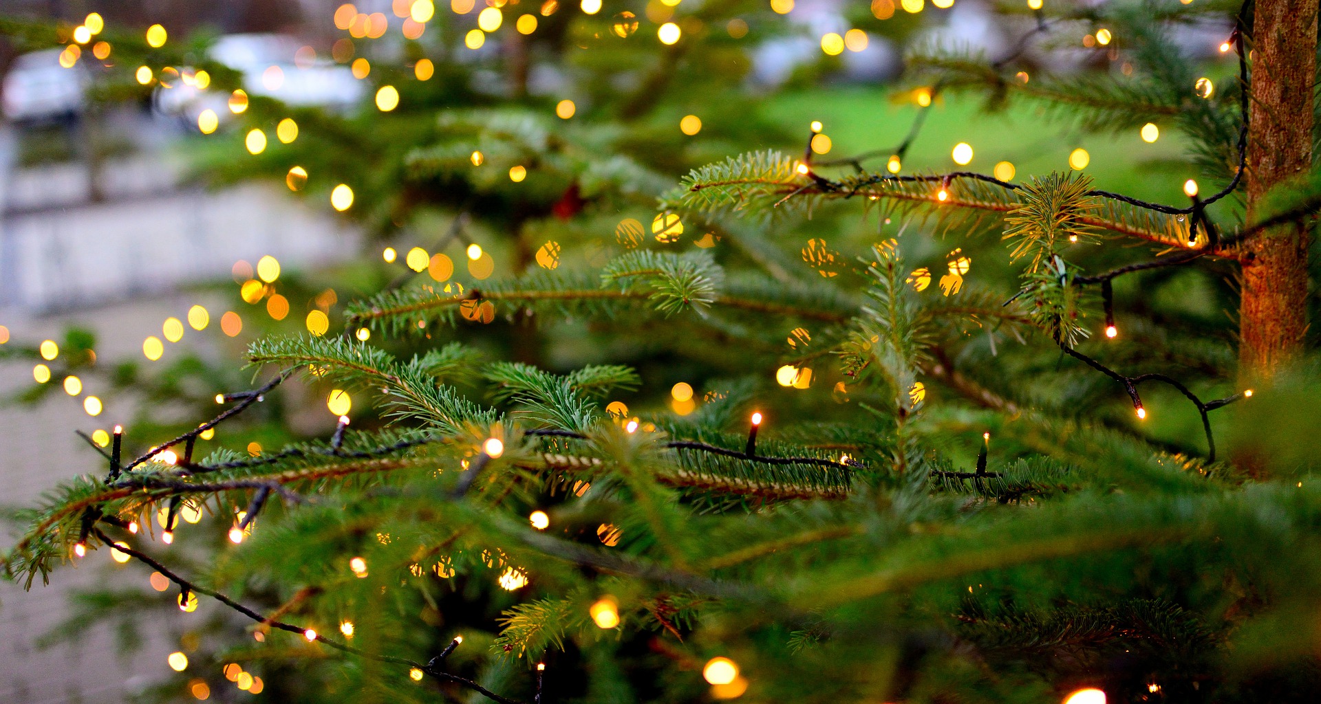 christmas-tree-g8b562f45f 1920