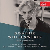 Dominik Wollenweber 200