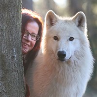 Monika Zelinová: „Vlk je přímočará, neúplatná bytost vyžadující svobodu a respektování zákonů smečky.“