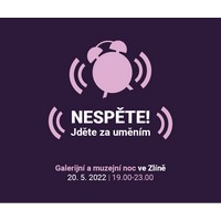 Galerijní a muzejní noc ve Zlíně se blíží. Nespěte a jděte za uměním
