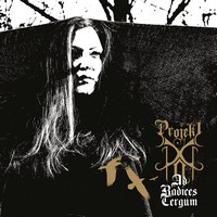 Gothic rockový Projekt XIII vydal v pátek 13. debutové album. V červnu zahraje v pražském planetáriu pod hvězdami
