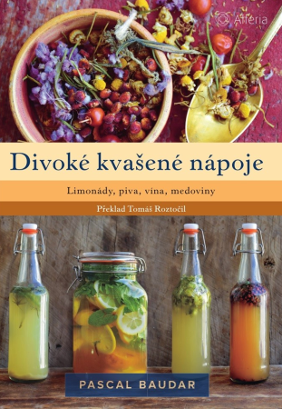 divoke kvasene napoje