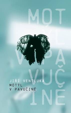 motyl v pavucine