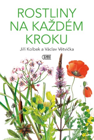 granit rostliny na kazdem kroku
