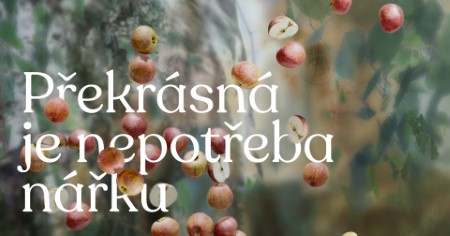 marta prekrasna je nepotreba narku