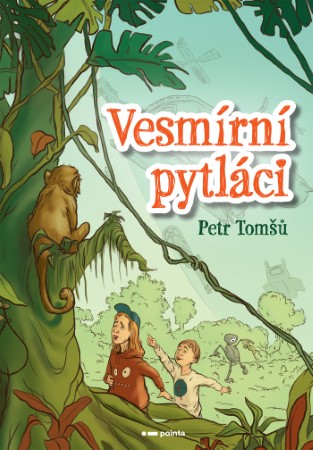 pointa vanoce Vesmirni