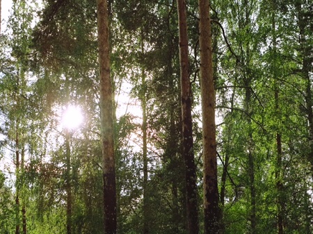 Maja Priroda