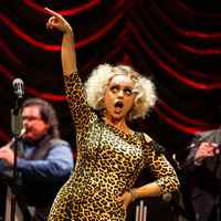 Postmodern Jukebox vystoupí 6. října na festivalu Groove Brno