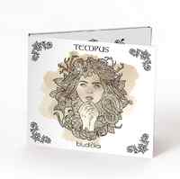 Moravská hudební skupina Tempus pořádá sbírku na Donio.cz na nové album BLUDIČKA!