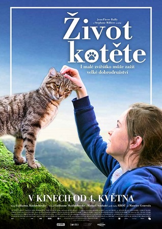Zivot kotete plakat