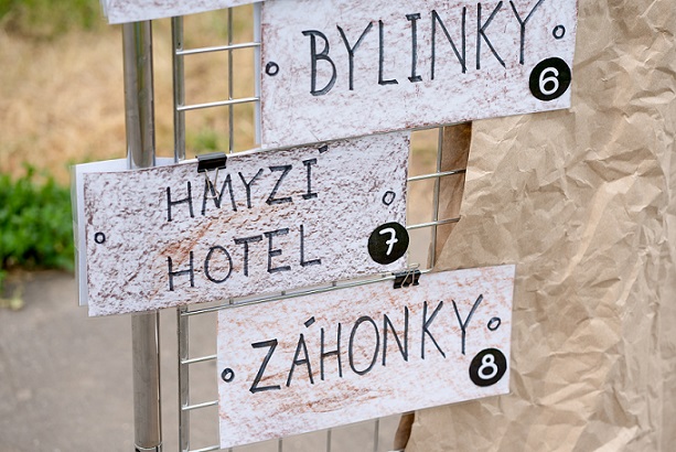 Další jedlá školní zahrada díky podpoře Lidlu