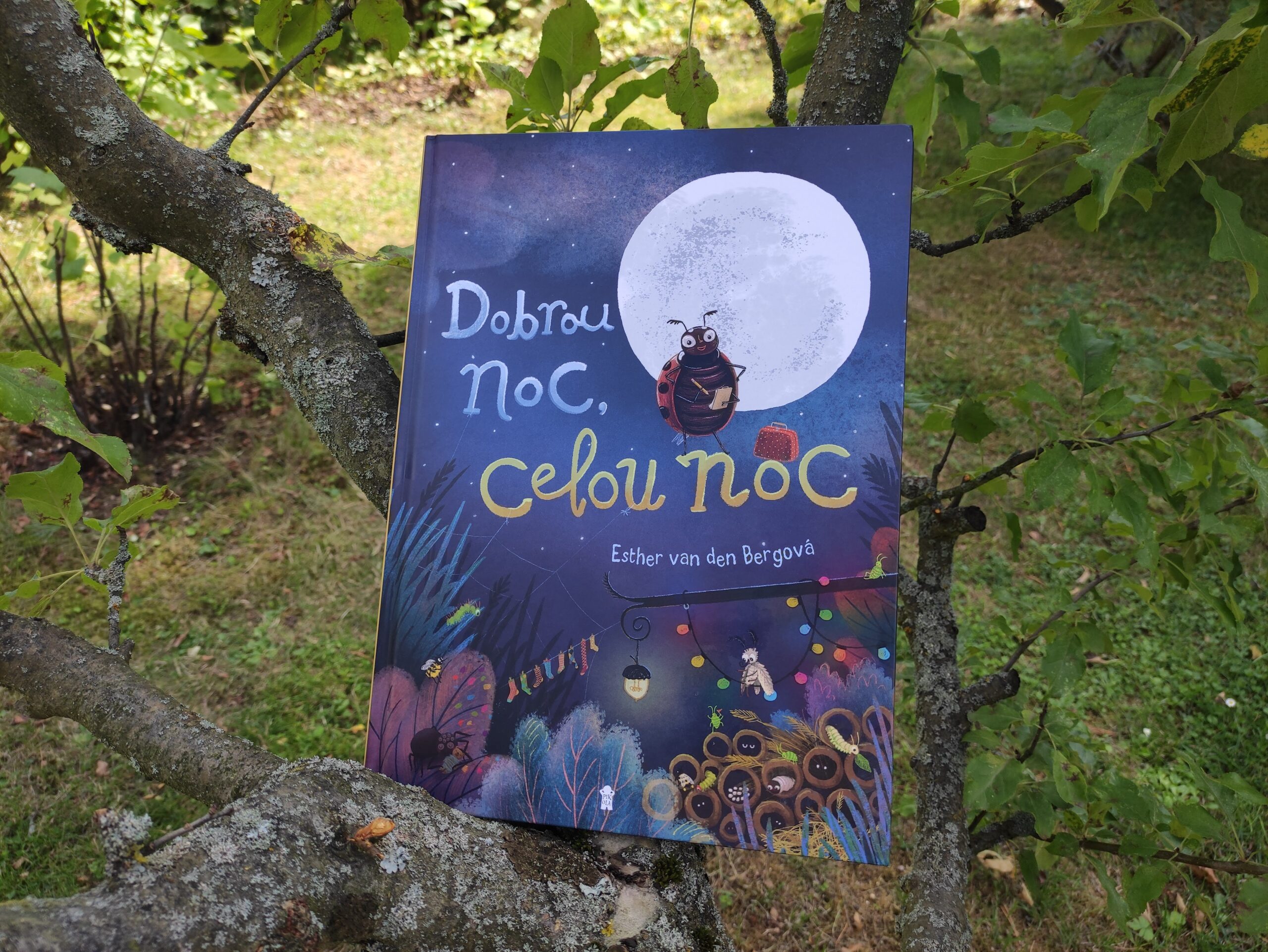 Dobrou noc, celou noc