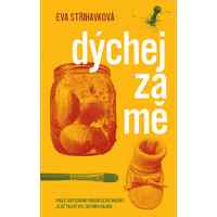 Příběh neobyčejné sesterské lásky na pozadí velké války