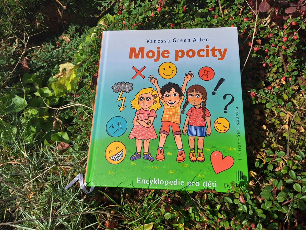 Moje pocity