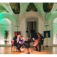 Svátky hudby, to je 14. ročník festivalu Musica Holešov