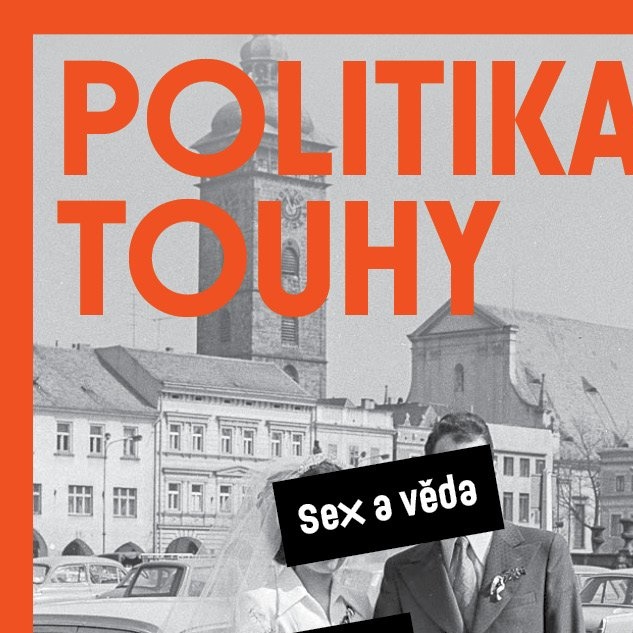 Politika touhy