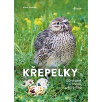 Vyšla kniha pro milovníky křepelek