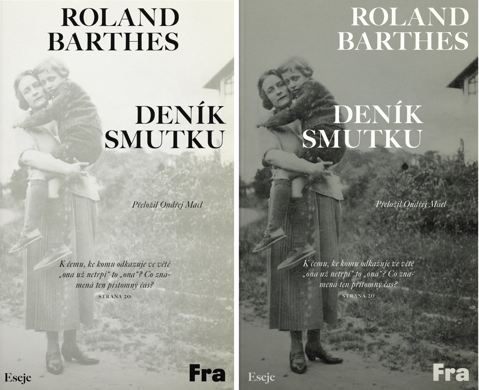 Deník smutku Barthes