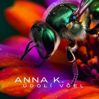 anna k 200