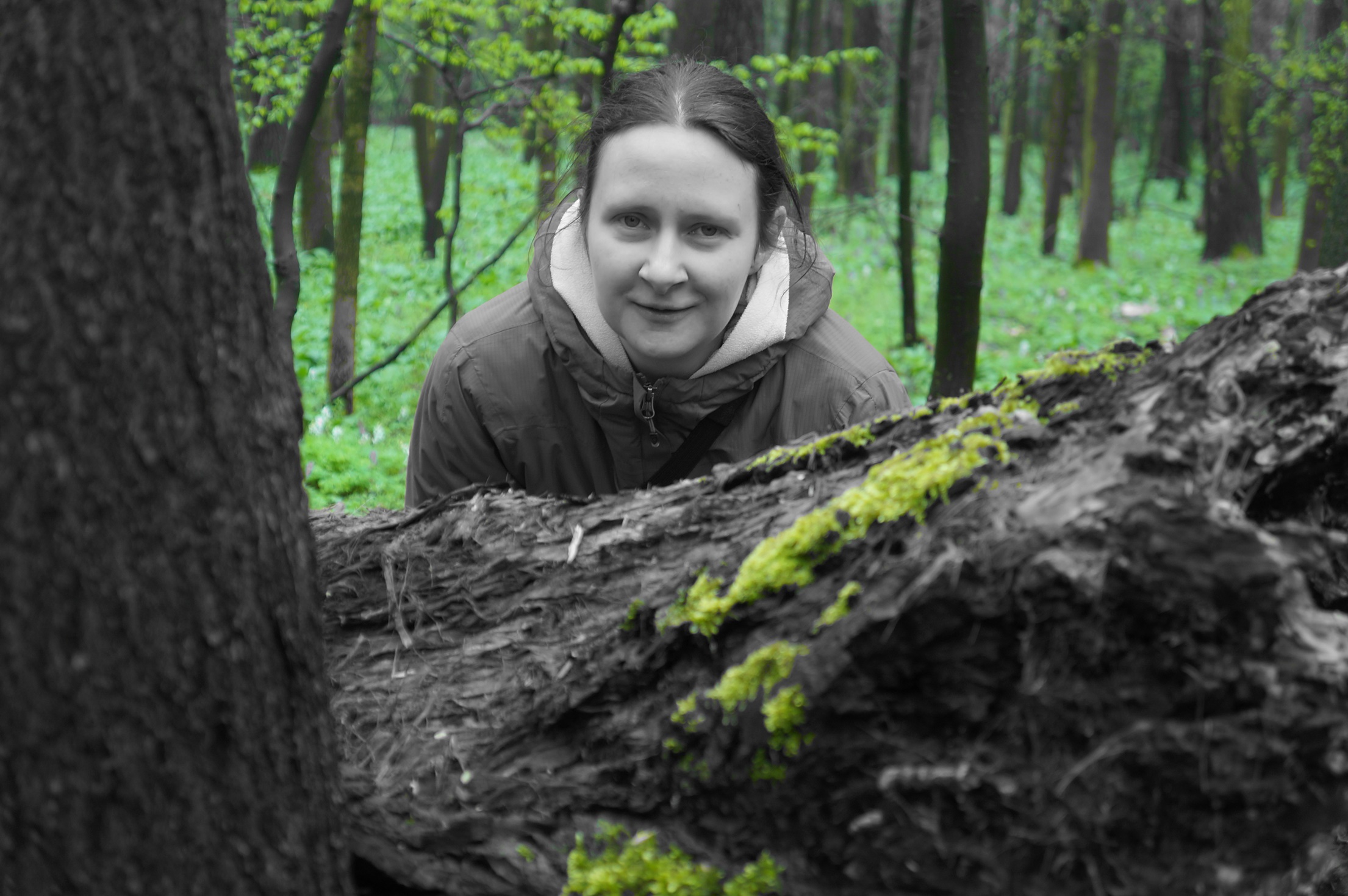 archiv Anna Bolavám