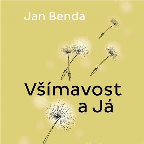 Jak může všímavost pomáhat v terapii?